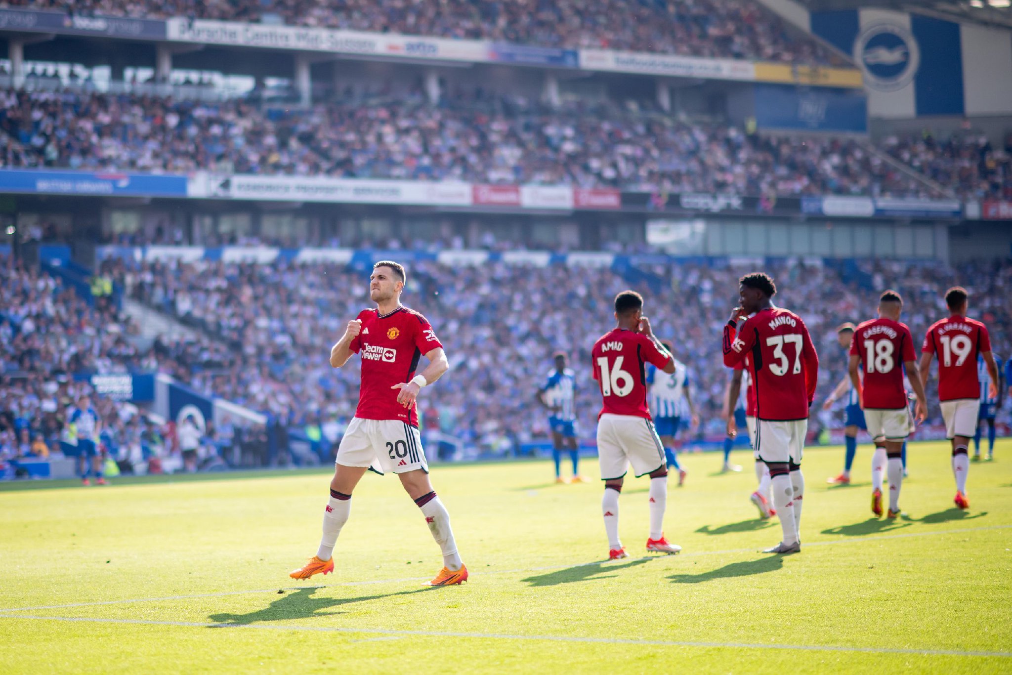 化地反映扎 化地反映扎